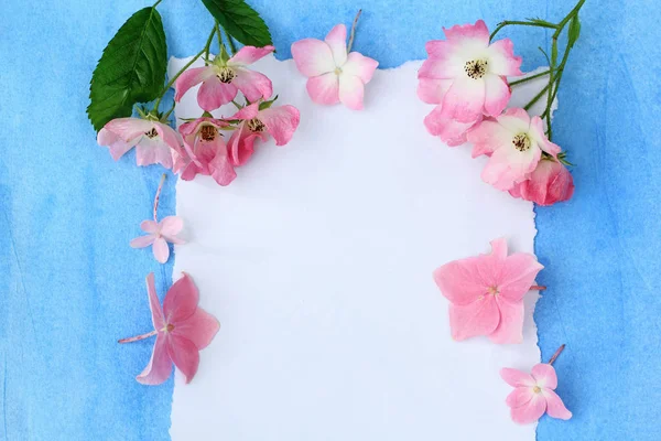 Bella cornice di primavera di fiori su sfondo grigio — Foto Stock