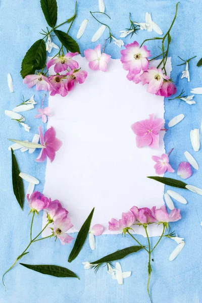 Beautiful Spring frame of flowers on gray background — Stock Photo, Image