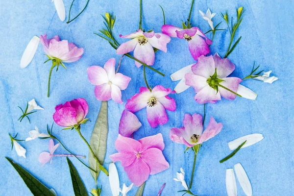 Beau fond floral avec roses roses et fleurs d'hortensia sur fond bleu, peint — Photo