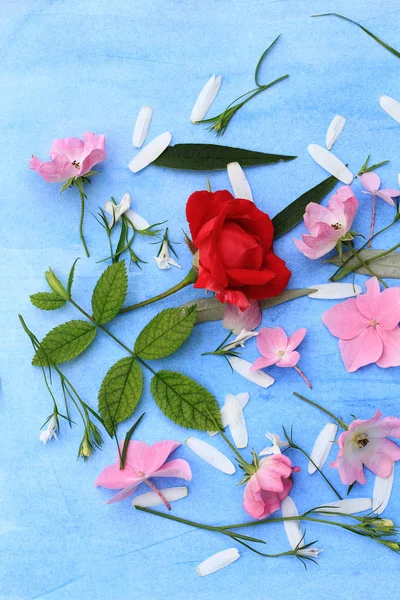 Mooi voorjaar frame van bloemen op blauw geschilderde achtergrond — Stockfoto