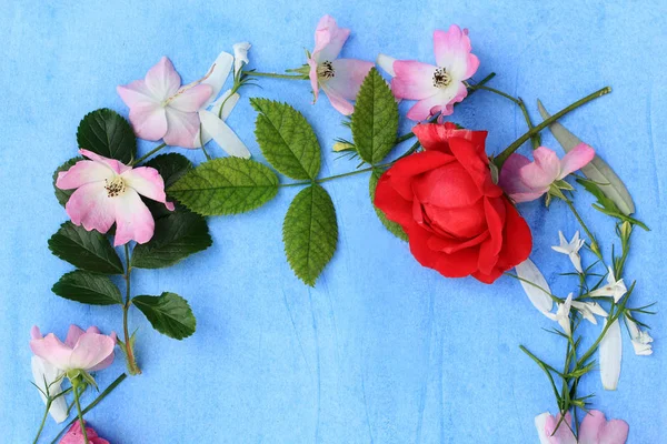 Mooi voorjaar frame van bloemen op blauw geschilderde achtergrond — Stockfoto