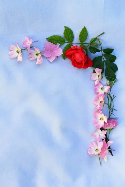 Bela moldura de primavera de flores no fundo de tecido cinza — Fotografia de Stock
