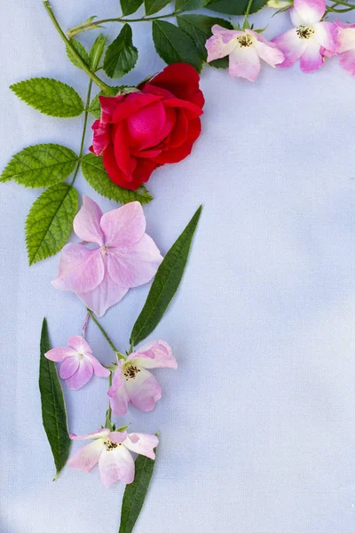 Mooi voorjaar frame van bloemen op grijze achtergrond — Stockfoto