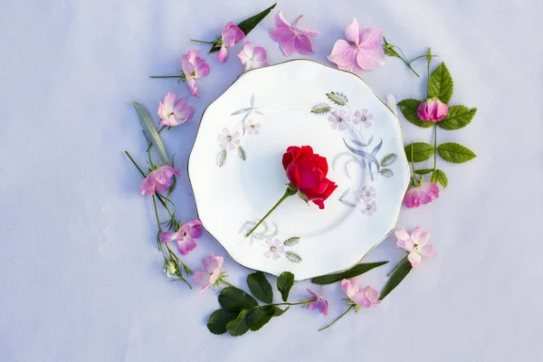 Piękny kwiatowy tło z róż i hortensia na szarym tle — Zdjęcie stockowe
