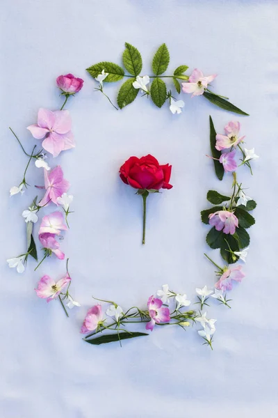 Bela moldura de primavera de flores no fundo cinza — Fotografia de Stock