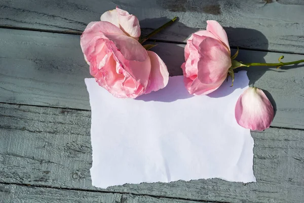 Красиві, рожеві троянди на дерев'яному, сільському тлі з білим папером і місцем для тексту — стокове фото