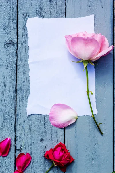 美丽、 粉色玫瑰木、 仿古背景白皮书与副本空间 — 图库照片