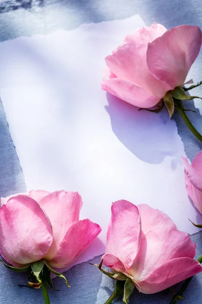 Prachtige, roze rozen op de houten, rustieke achtergrond met het Witboek en kopie ruimte — Stockfoto