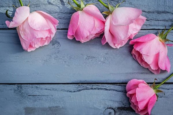 Ahşap zemin üzerinde romantik pembe güller — Stok fotoğraf