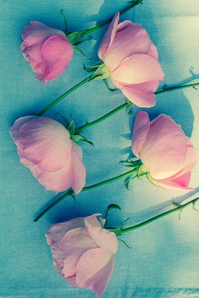 Romantisk rosa rosor på tyg grön bakgrund — Stockfoto
