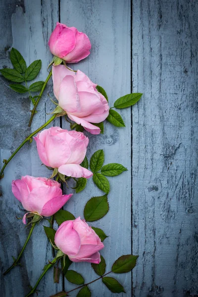 Romantische roze rozen op houten achtergrond — Stockfoto
