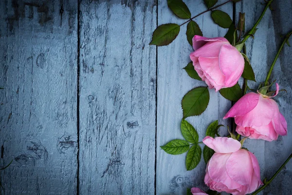 Romantikus rózsaszín rózsa, fából készült háttér — Stock Fotó