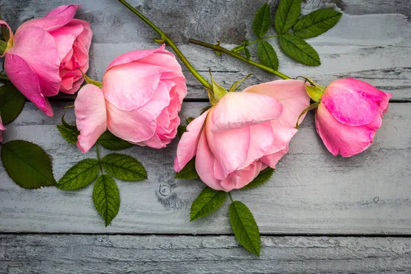 Ρομαντικές ροζ τριαντάφυλλα σε ξύλινα φόντο — Φωτογραφία Αρχείου