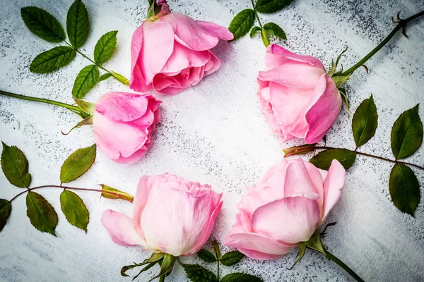Романтичні рожеві троянди на білому пофарбованому фоні — стокове фото