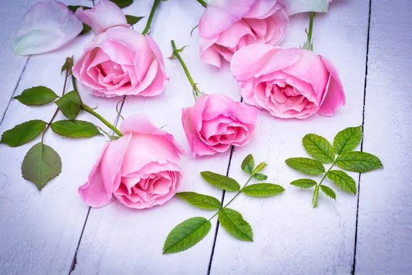 Romantische rosa Rosen auf weiß lackiertem Hintergrund — Stockfoto