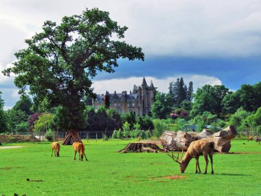 Safar park İskoçya'da