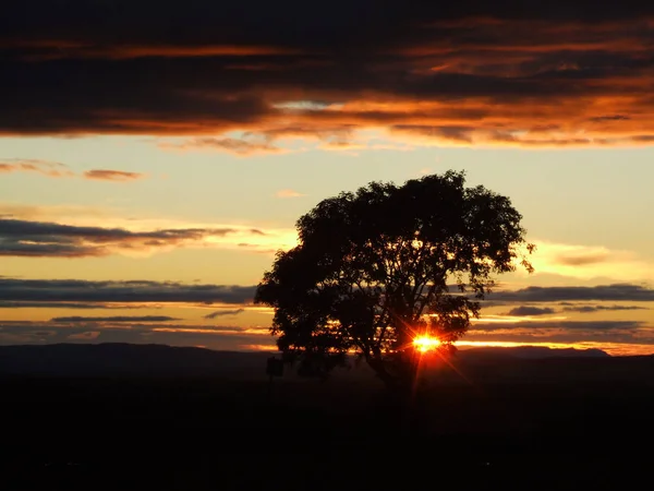 Vacker solnedgång landskap med ett träd och solen strålar i Skottland — Stockfoto