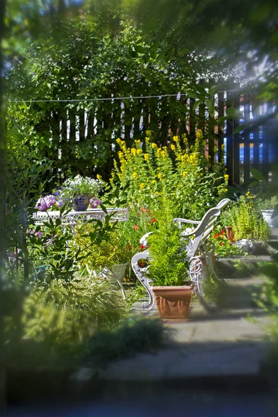 Yaz ev bahçe — Stok fotoğraf