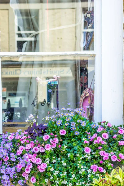 Flores bonitas, pequeñas, rosadas y violetas en la ventana — Foto de Stock