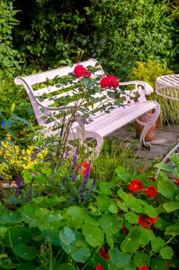 Ev, romantik bahçe içinde adet kırmızı gül