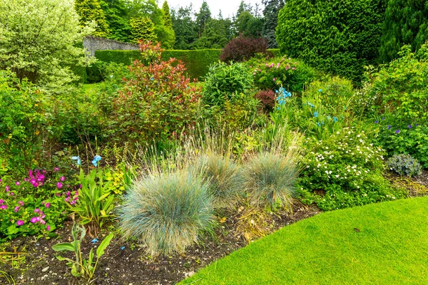 Vacker trädgård landskapsplanering i sommar — Stockfoto