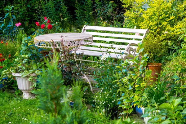 Rote Rosen im Haus, romantischer Garten — Stockfoto