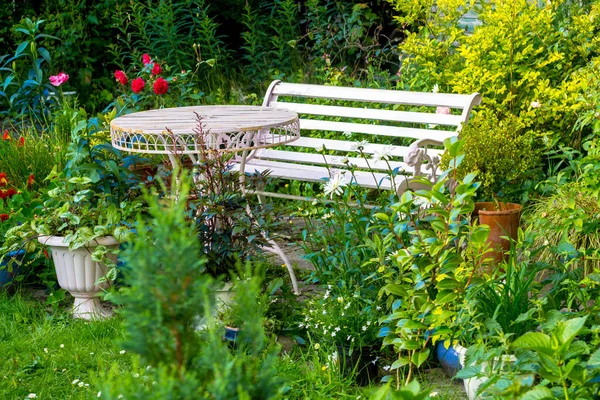 Rode rozen in de tuin van het huis, Romantisch — Stockfoto