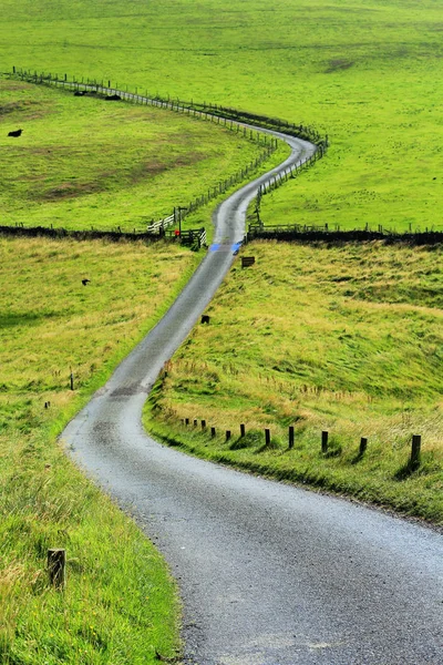 Kurvenreiche Straße in den Feldern — Stockfoto