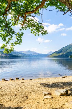 Loch Lomond rowardennan, İskoçya, İngiltere'de yaz
