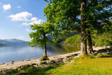 Loch Lomond rowardennan, İskoçya, İngiltere'de yaz