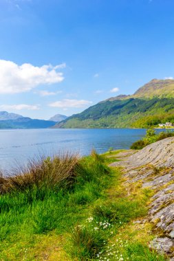 Loch Lomond rowardennan, İskoçya, İngiltere'de yaz