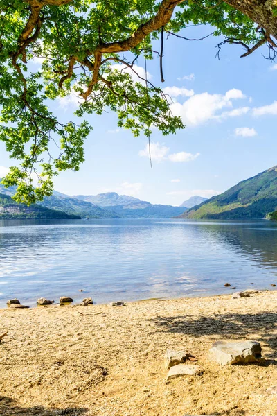 Loch Lomond rowardennan, İskoçya, İngiltere'de yaz