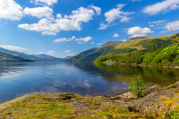Loch Lomond rowardennan, İskoçya, İngiltere'de yaz