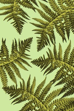 Yeşil yaprakları ile egzotik bitkiler arka plan