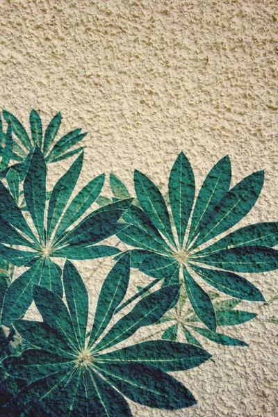 Exotic plants on old plastered background — Stock Photo, Image