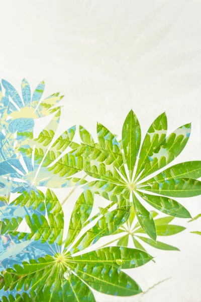 Egzotik yaprakları sanatsal arka plan