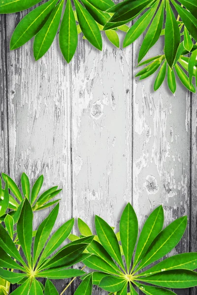 Fundo de madeira com folhas exóticas verdes — Fotografia de Stock