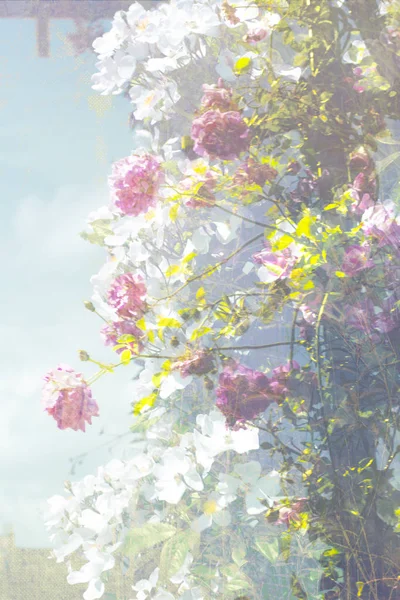 Konstnärliga, blommig naturliga bakgrund — Stockfoto