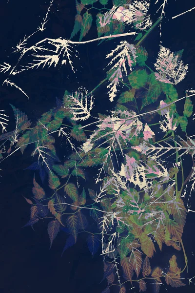 Artística, fundo floral em preto, azul marinho e branco — Fotografia de Stock