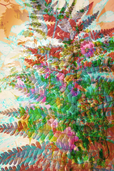 Художественный, цветочный фон с цветными листьями папоротника — стоковое фото