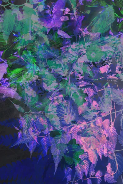 Красивый, художественный фон с листьями и цветами — стоковое фото