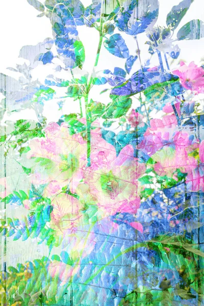 Mooie, artistieke achtergrond met bladeren en bloemen — Stockfoto