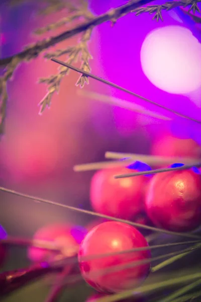 Çam Iğneleri Çam Kozalakları Güzel Noel Arka Plan Yakın Çekim — Stok fotoğraf