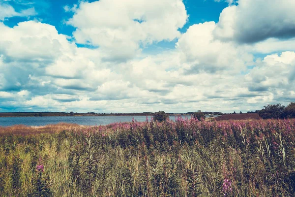 Beautiful Landscape Meadow Flowers Dramatic Sky White Clouds Scotland — Stock Photo, Image