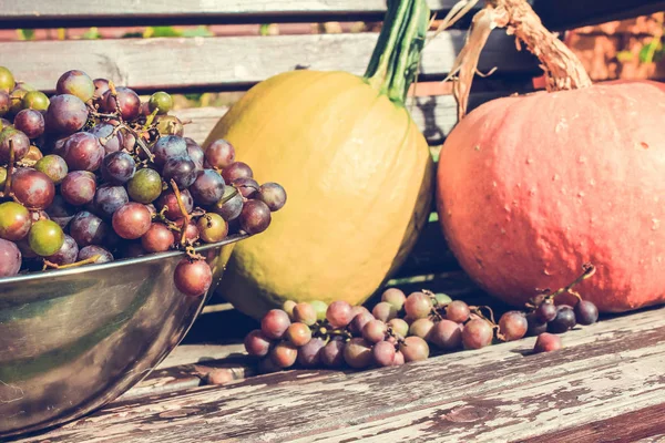 Herbstfrüchte Trauben Und Kürbisse Aus Nächster Nähe Instagram Stil — Stockfoto