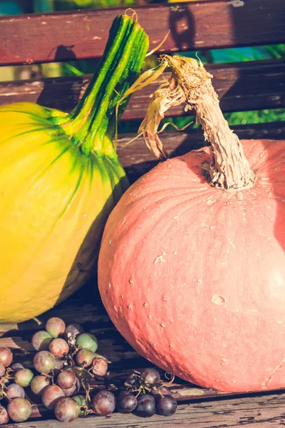 Podzimní Ovoce Hrozny Dýně Zavřít Nahoru Instagram Styl — Stock fotografie