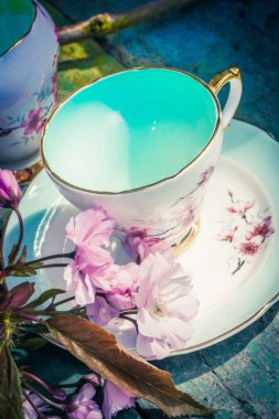 Güzel, İngilizce, vintage çay fincanı Japon kiraz ağacı çiçekleri ile yakın çekim