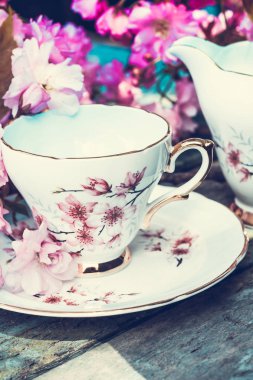 Japon kiraz ağacı çiçekleri, yakın upt ile güzel, İngilizce, vintage çay fincanı
