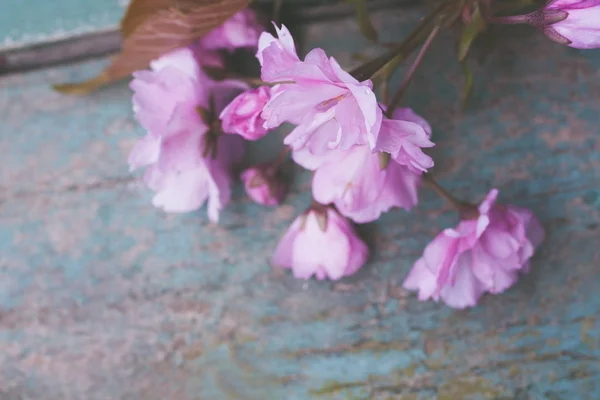 Rustic Style Spring Background Pink Japanese Cherry Blossom Close — Stock Photo, Image