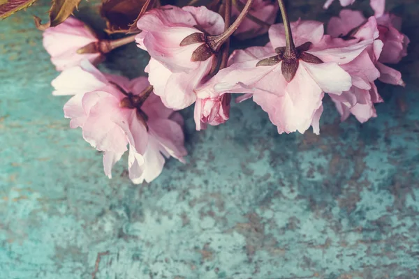 Estilo Rústico Primavera Fundo Com Rosa Japonês Cereja Flor Perto — Fotografia de Stock